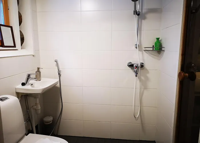 Ukonloma Salmilampi روفانييمي